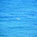 DSC_0609.JPG