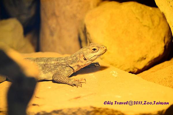 DSC_1165.JPG