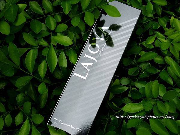 2017_06300620修標尺.jpg 2017_06300620修標尺.jpg