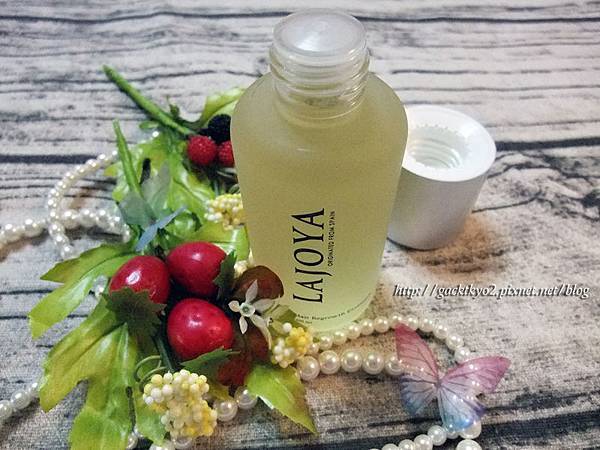 2017_06300646修2標尺.jpg 2017_06300646修2標尺.jpg