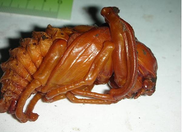 劉祥祥的秘室 痞客邦 劉祥祥的秘室 痞客邦