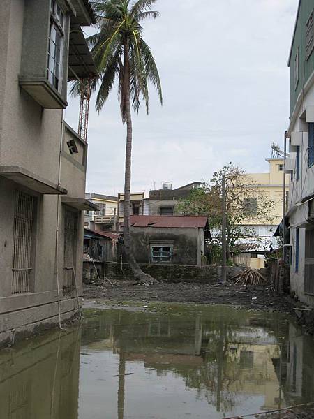 依舊積水的道路_災後29天的林邊.JPG