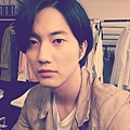 Geonil 499