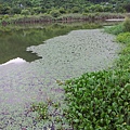 20140626_151304.jpg