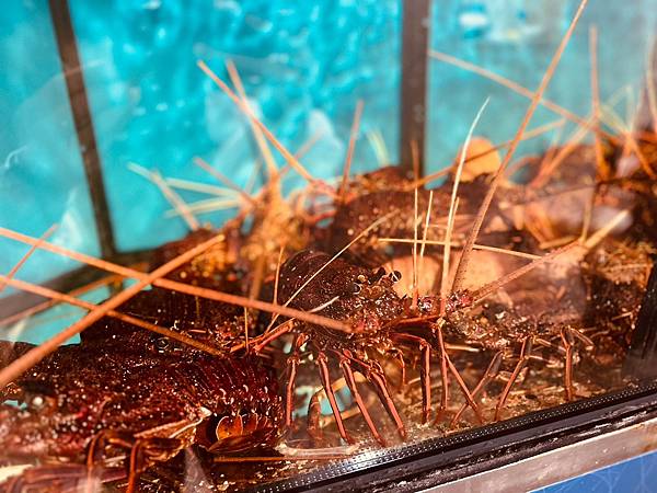 202335_230321_18.jpg 202335_230321_18.jpg