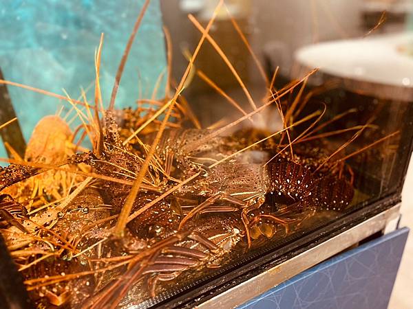 202335_230321_19.jpg 202335_230321_19.jpg