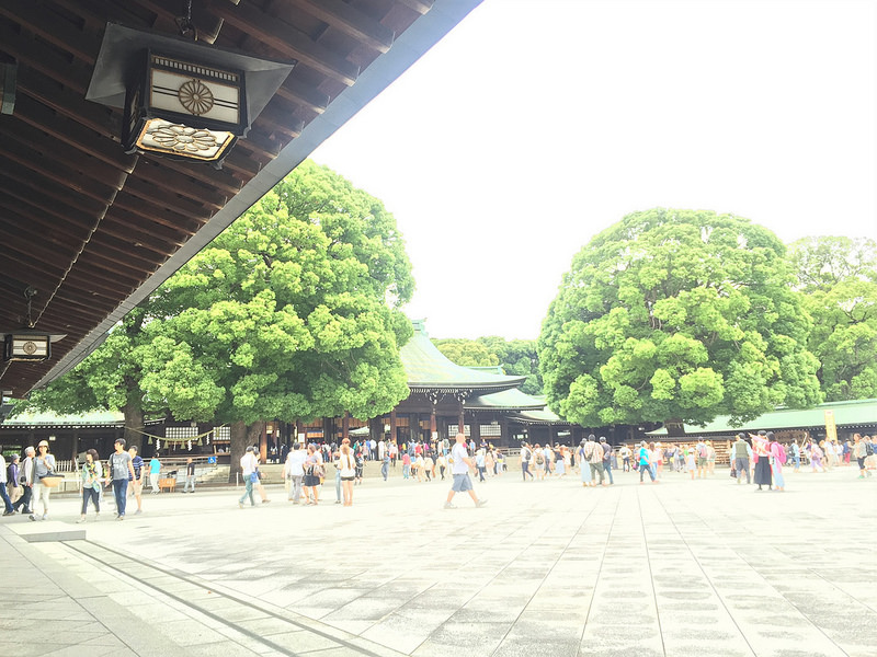 160619 東京 (127) 明治神宮