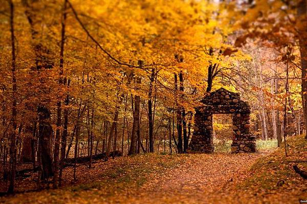 Maple-Grove-Stone-Door-Dead-Leaves-All-Over-The-Floor-485x728.jpg