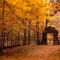 Maple-Grove-Stone-Door-Dead-Leaves-All-Over-The-Floor-485x728.jpg