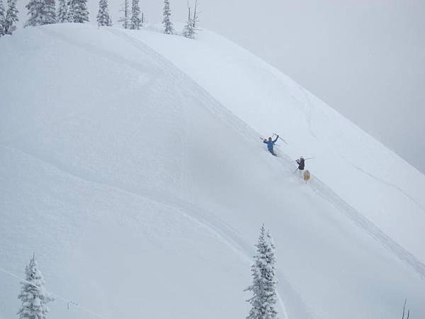 fernie alpine.jpg