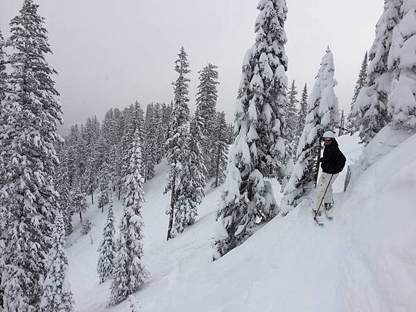 fernie alpine jon.jpg