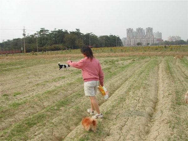 我們去那邊