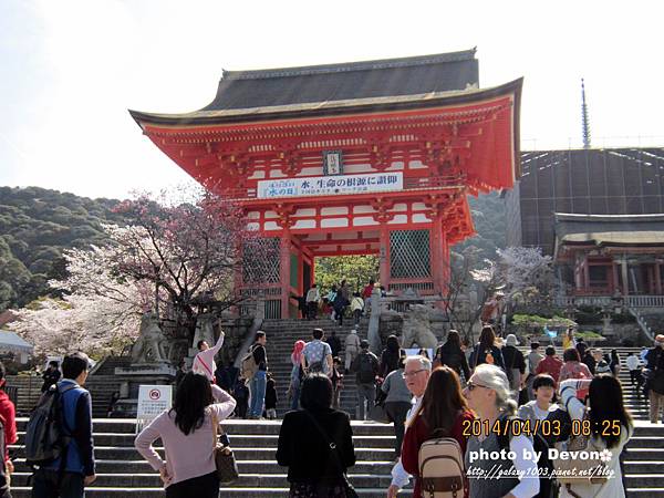 清水寺2.jpg