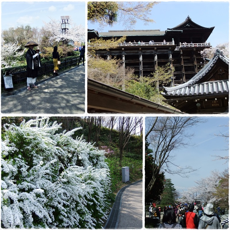 清水寺16.jpg