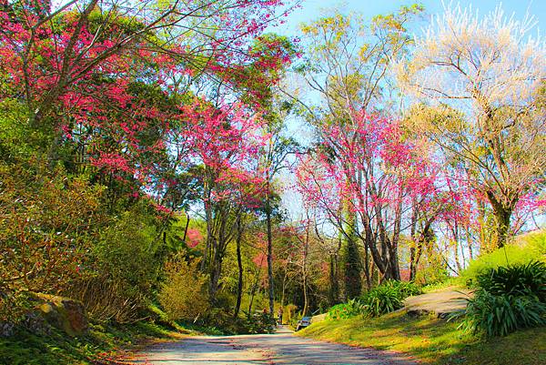 20140201_6號花園029.jpg