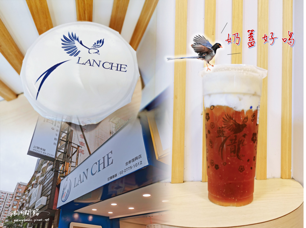 藍鵲LanChe忠孝復興店丨台北東區手搖飲料丨金鵲紅玫瑰顏奶蓋好喝丨終於找到厚實的奶蓋1.png