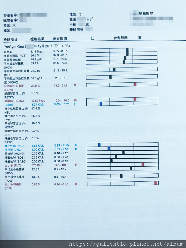 犬腎衰竭