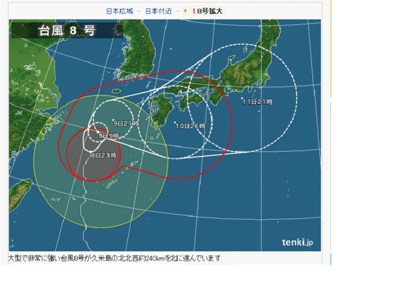 浣熊颱風