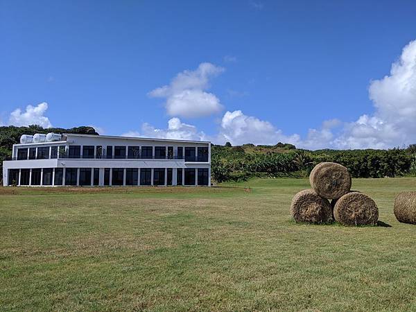 IMG_20200502_143305.jpg IMG_20200502_143305.jpg