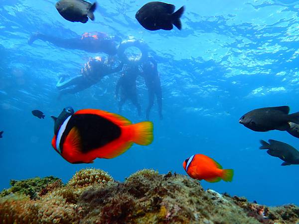 P5020017.JPG P5020017.JPG