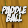 paddle100.png