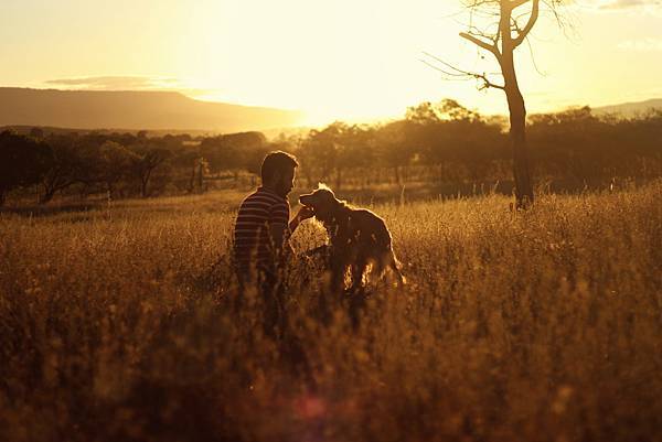 man-and-dog-on-grass-field-during-sunset-3457250