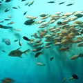 海底隧道 
