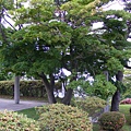 涵館元町