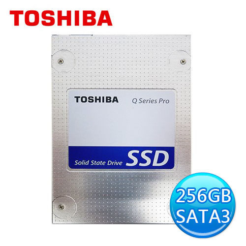 TOSHIBA 256GB