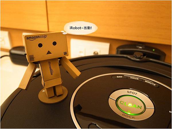 014iRobot.JPG