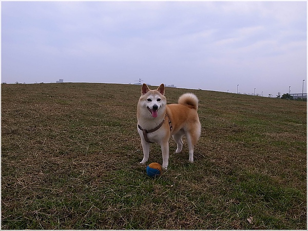 台中R1277266-21水崛頭公園.JPG