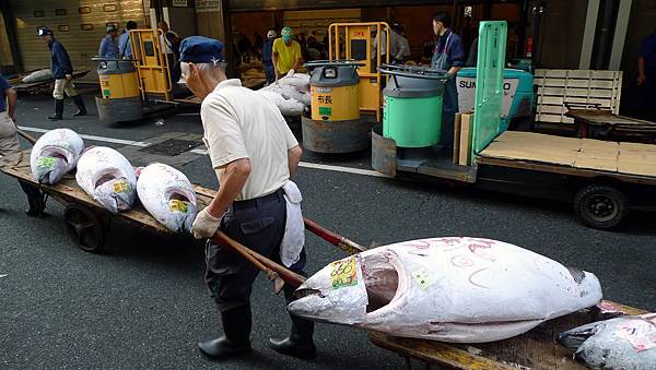 P1040574-tsukiji-tuna