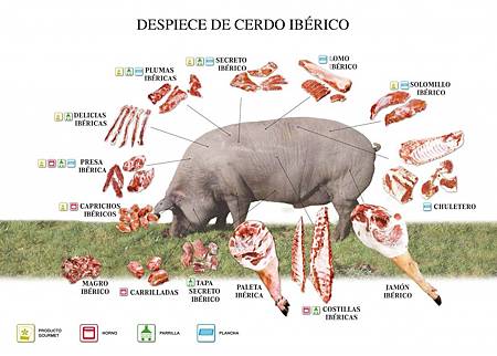 CERDO-IBERICO-DESPIECE-1024x731.jpg