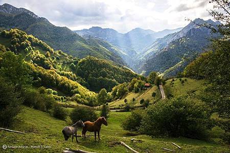 13445281_1089193321126409_8869772183785494781_n.jpg 13445281_1089193321126409_8869772183785494781_n.jpg