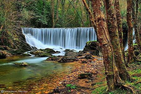 13619841_1101105389935202_395102411630734047_n.jpg 13619841_1101105389935202_395102411630734047_n.jpg