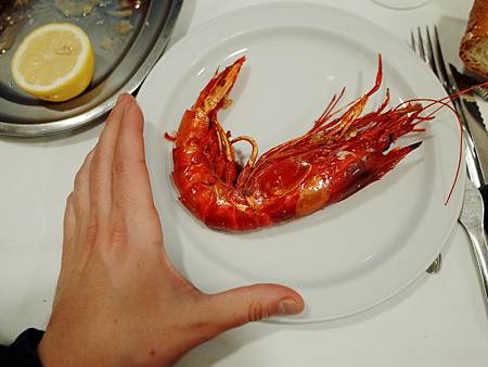 R0011662.JPG R0011662.JPG