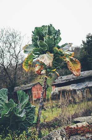 R0015106_1.JPG R0015106_1.JPG