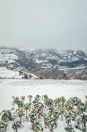 R0015319_1.JPG R0015319_1.JPG