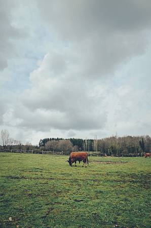 R0015832_1.JPG R0015832_1.JPG