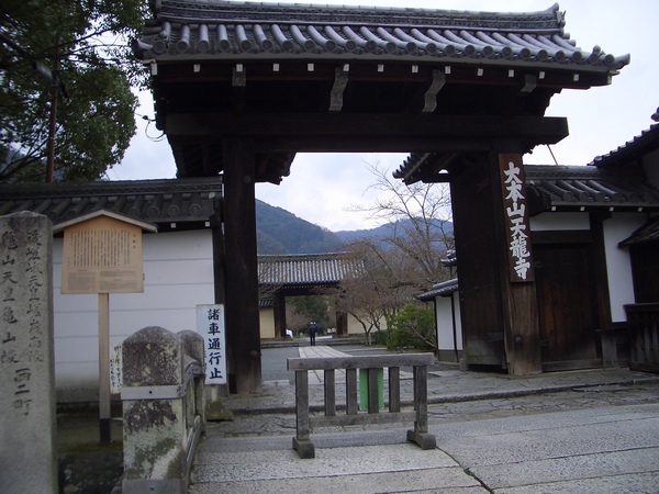 0325 CIMG0022.JPG