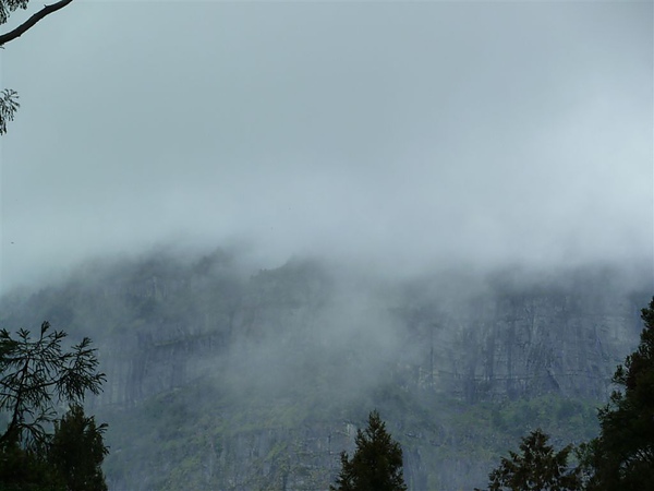 07_阿里山雲霧-2.JPG