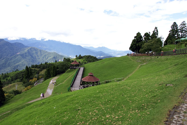 IMG_1415.jpg