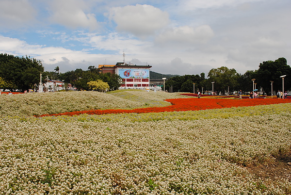 DSC_0133.JPG