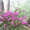 P1010101.JPG