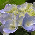 P1010031.JPG