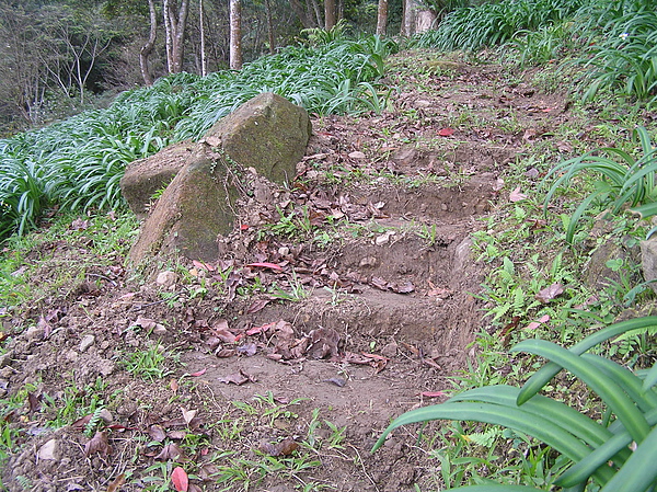 P1010145.JPG