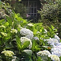 P1010025.JPG