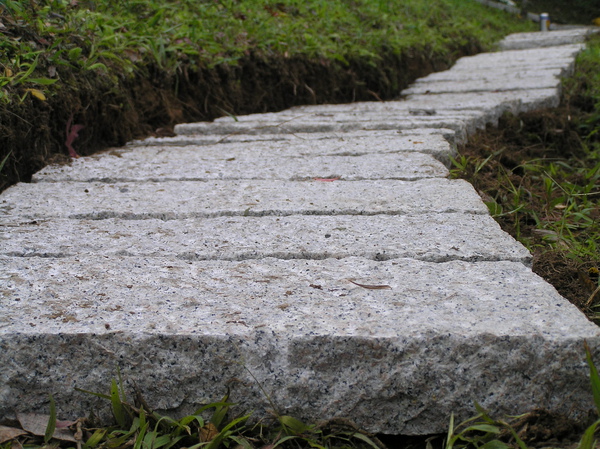 P1010028.JPG P1010028.JPG