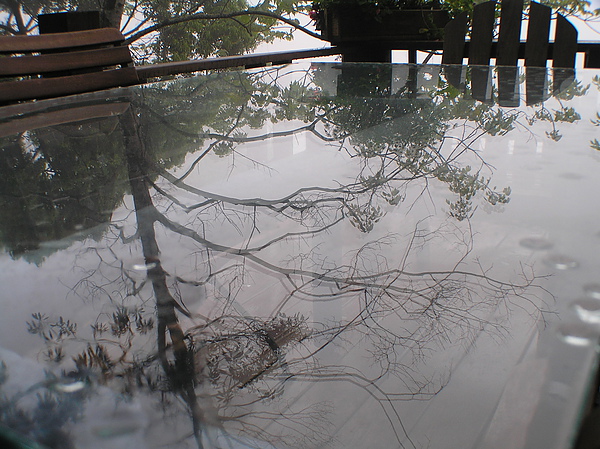P1010128.JPG P1010128.JPG