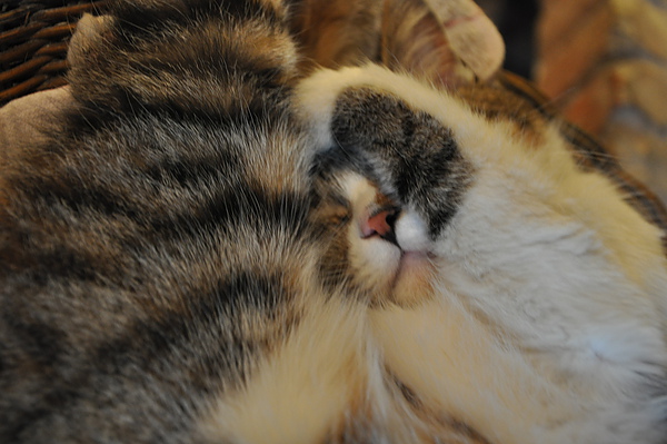 DSC_0297.JPG DSC_0297.JPG